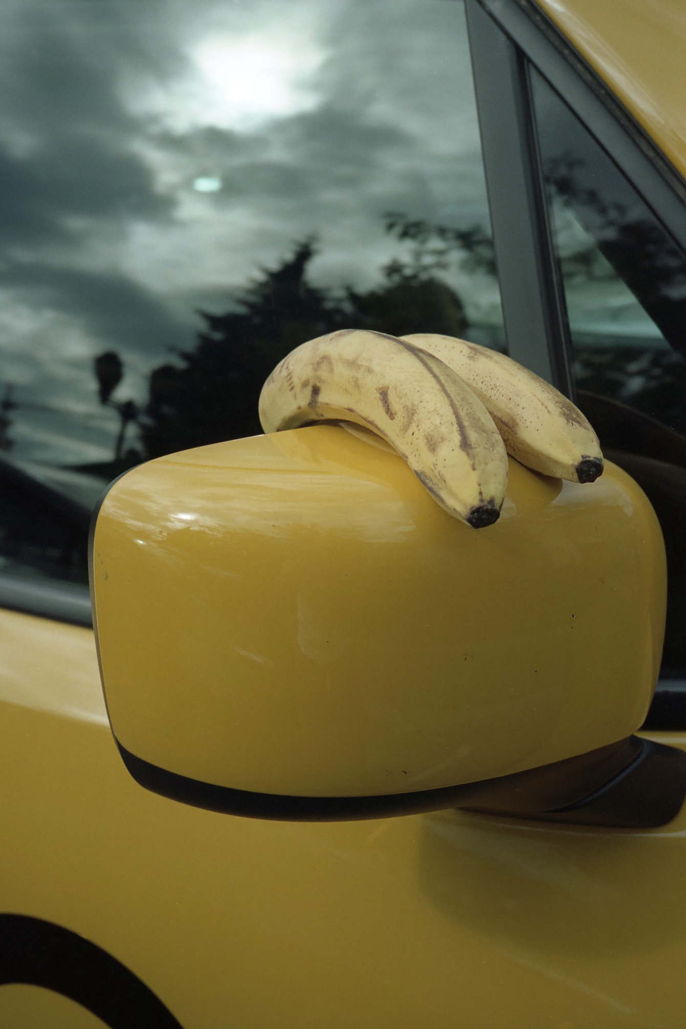 Two Bananas_2018