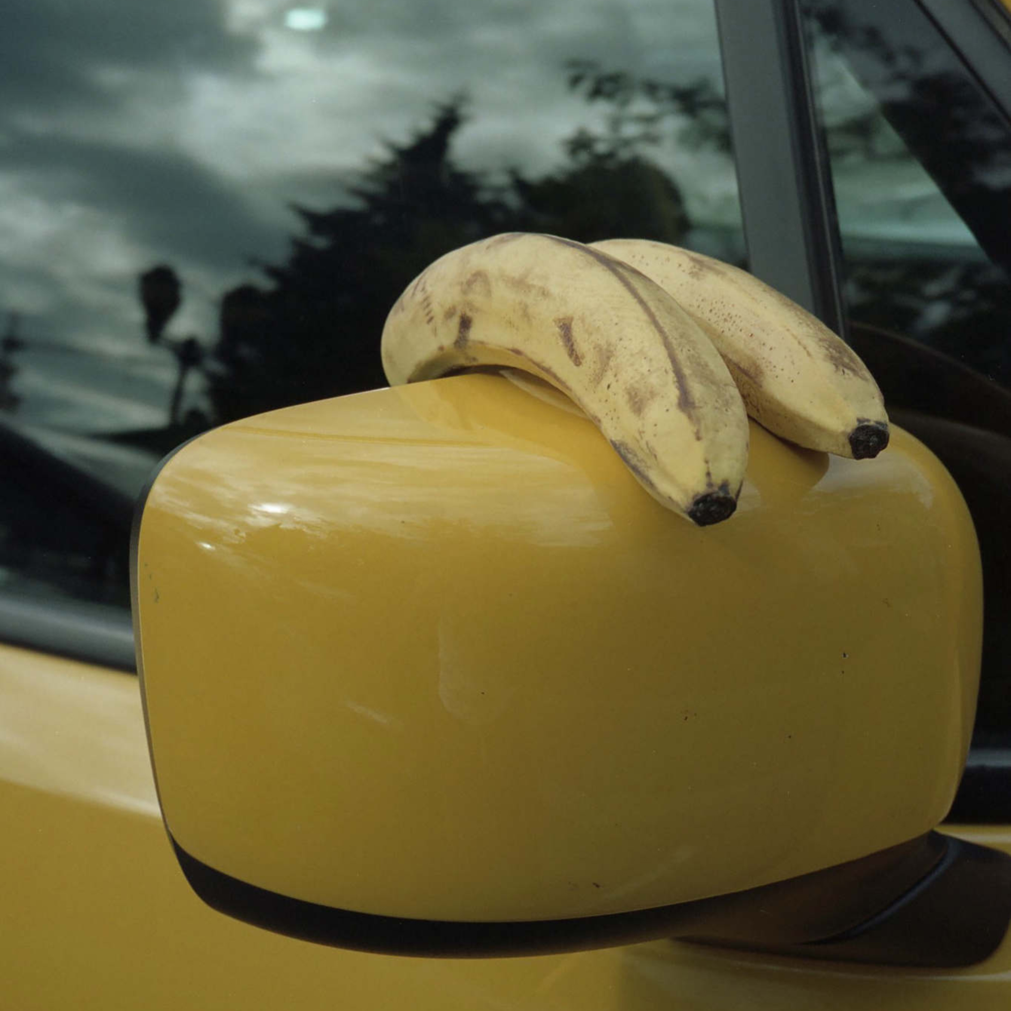 Two Bananas_2018